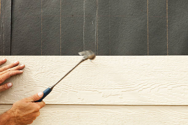 Best Insulated Siding Installation  in Eagle, ID